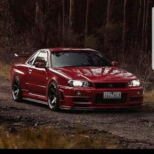 Meet your Posher, Freddie